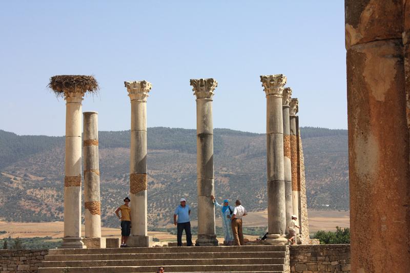 172-Volubilis,2 agosto 2010.jpg